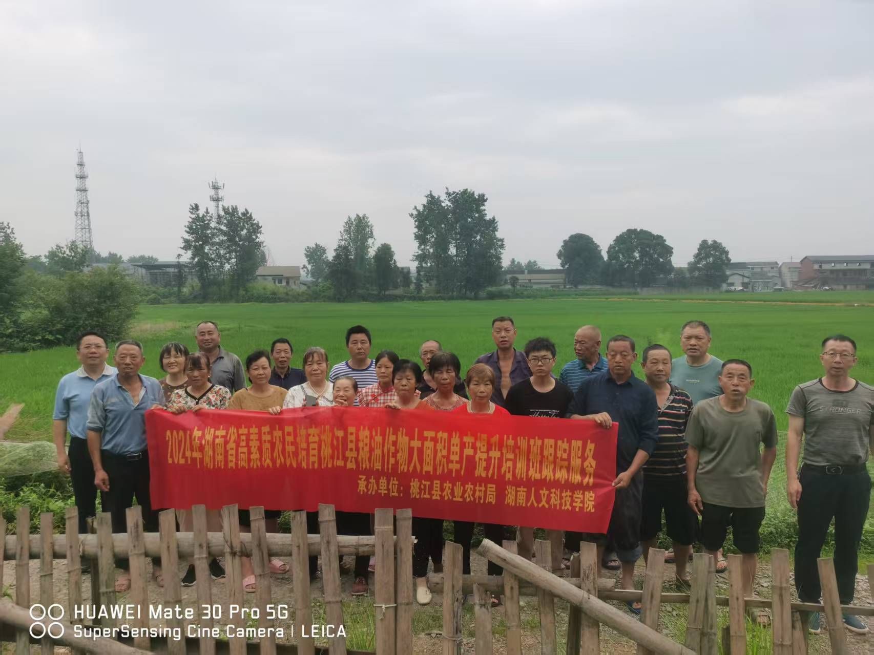 科技赋能  助力乡村振兴--院所开展2025年桃江县新型农业经营主体及粮油单产提升培训班跟踪服务